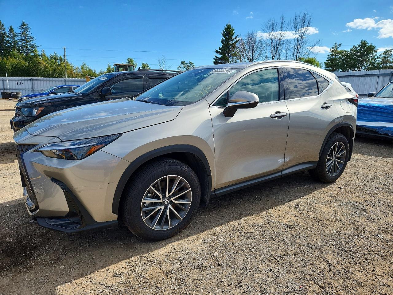 2025 LEXUS NX 350 PREMIUM | 2T2GGCEZ7SC071302 | UPCARS