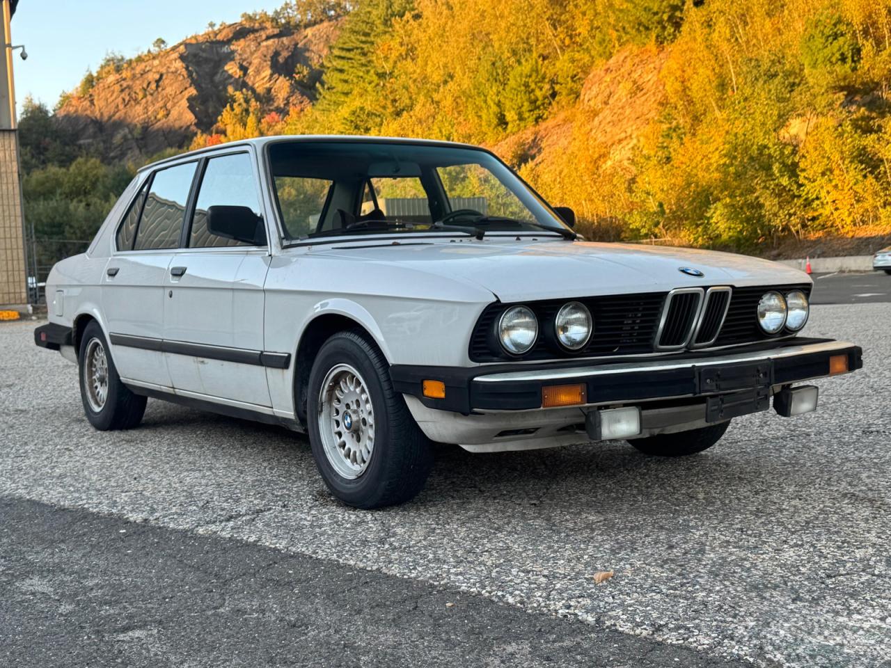 1983 BMW 5 SERIES E AUTOMATIC | WBADK8306D9206055 | UPCARS