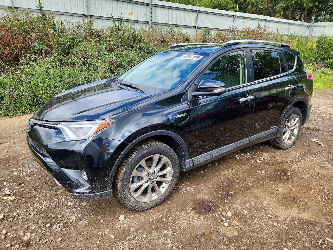 2016 TOYOTA RAV4 LIMITED | JTMDJREV9GD031418 | UPCARS