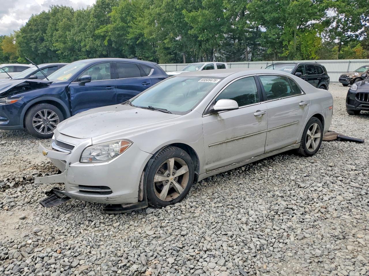 2011 CHEVROLET MALIBU 1LT | 1G1ZC5E17BF301130 | UPCARS
