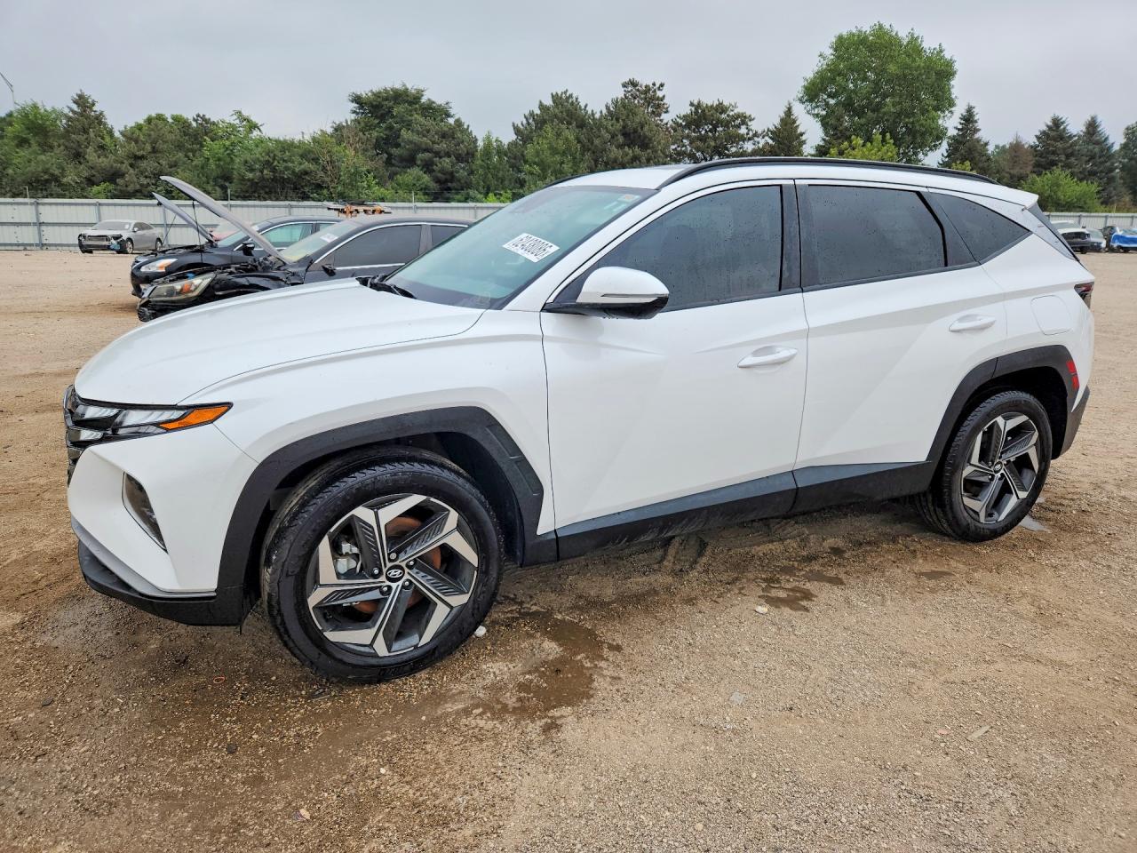 2024 HYUNDAI TUCSON SEL | 5NMJFCDE4RH393136 | UPCARS