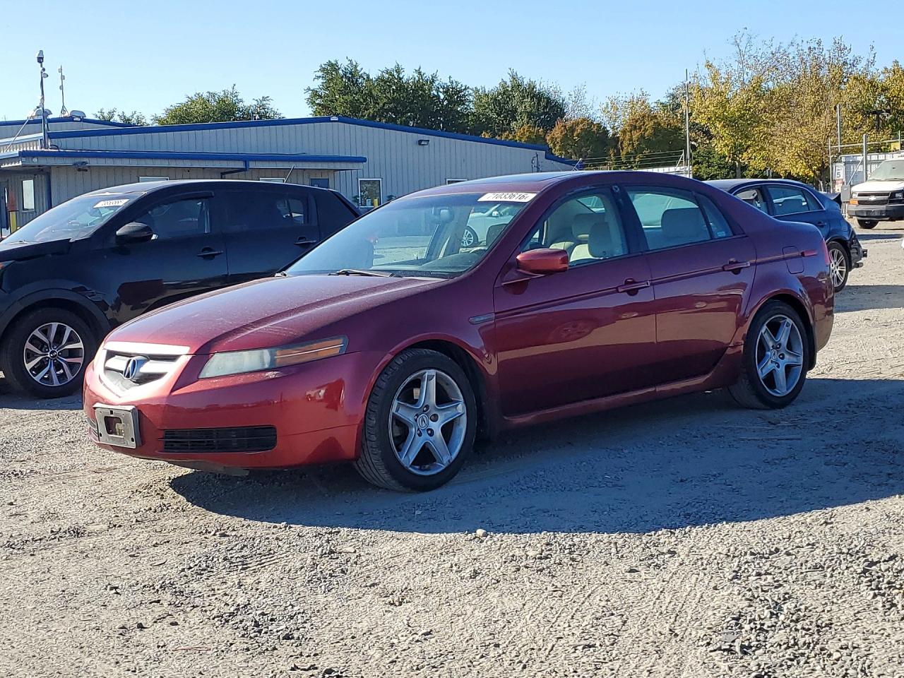 2006 ACURA TL | 19UUA66226A031443 | UPCARS