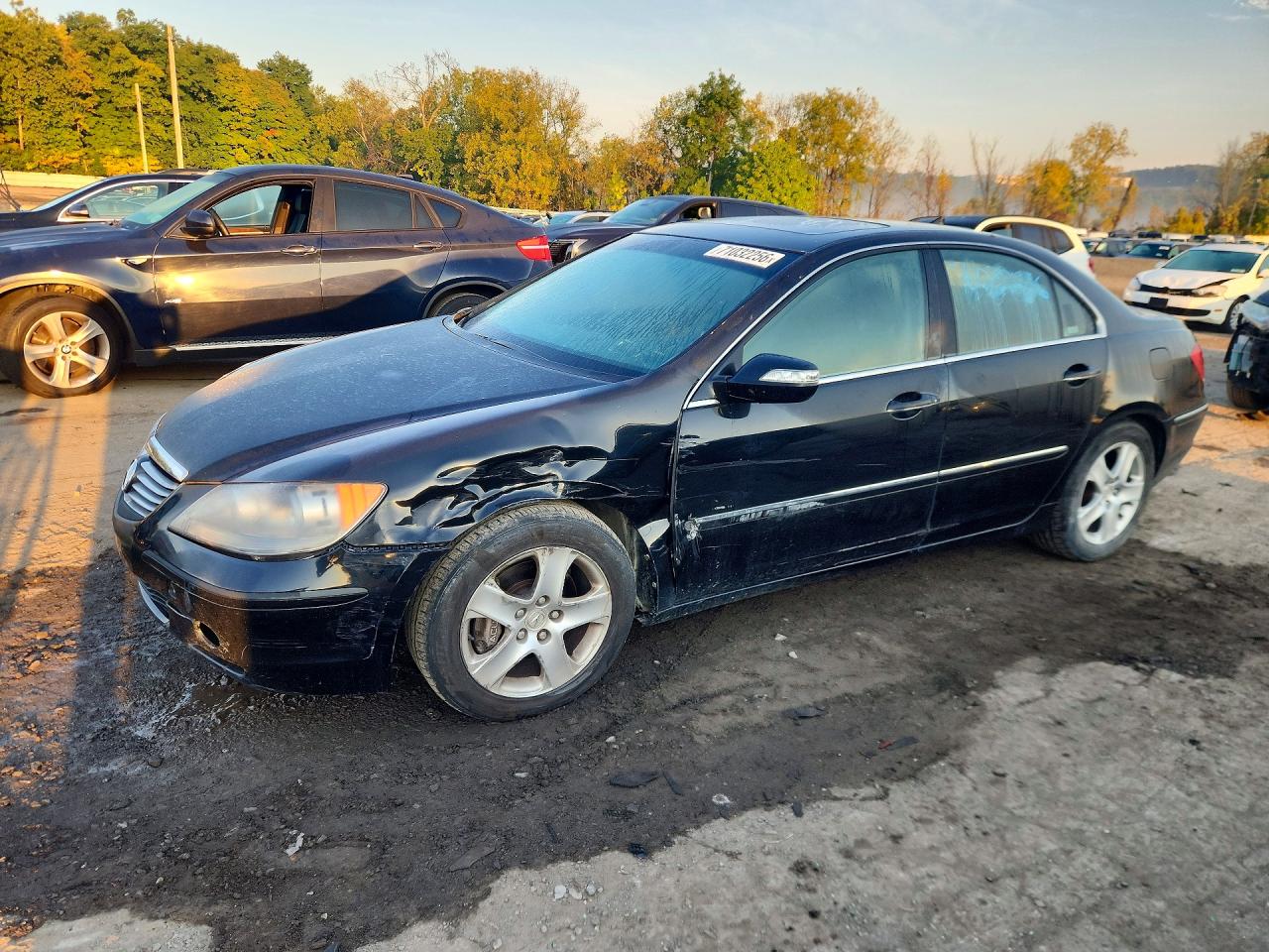 2006 ACURA RL | JH4KB16596C003643 | UPCARS