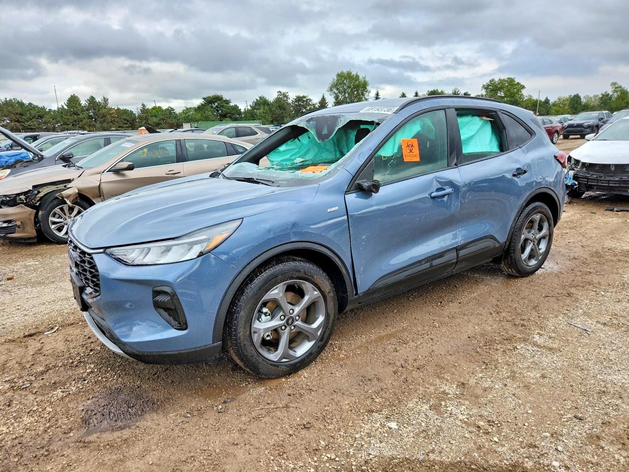 2025 FORD ESCAPE ST LINE | 1FMCU0MZ0SUB08393 | UPCARS