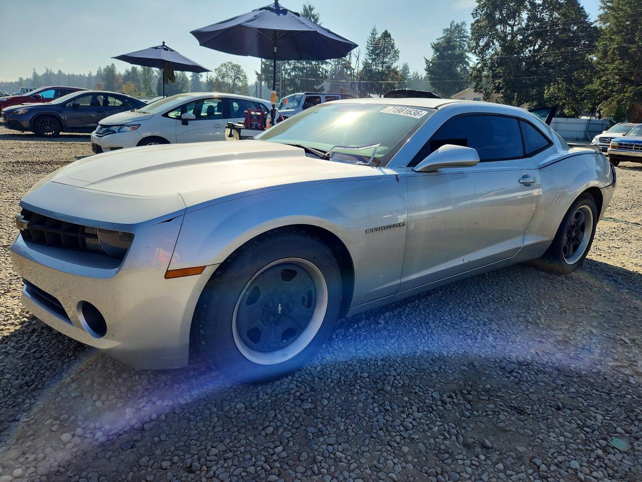 2013 CHEVROLET CAMARO LS | 2G1FA1E35D9198319 | UPCARS