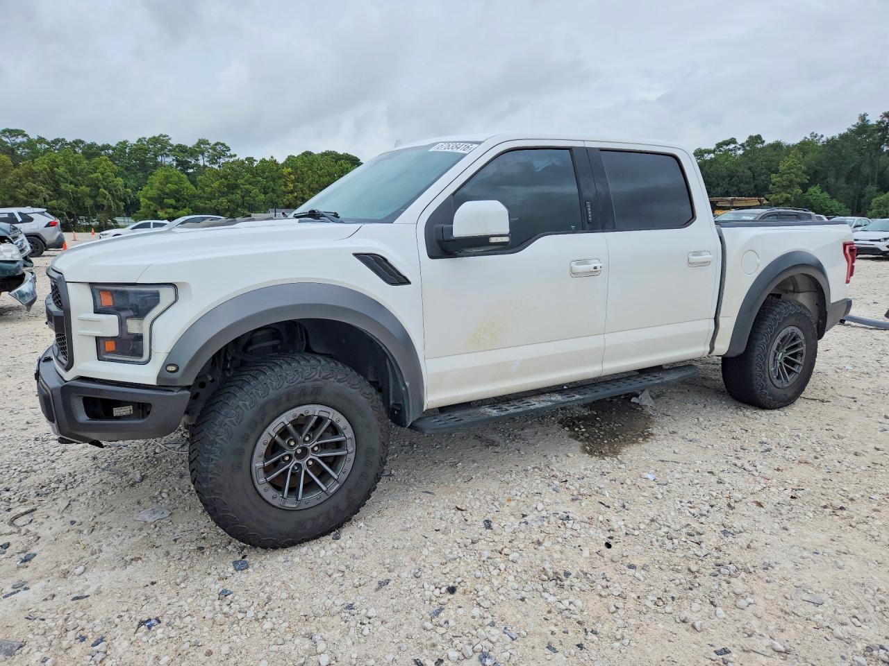 2019 FORD F150 RAPTOR | 1FTFW1RG5KFC19096 | UPCARS