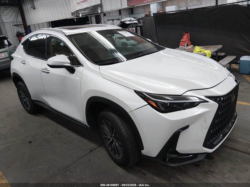 2025 LEXUS NX 250 | 2T2ADCAZ2SC028331 | UPCARS