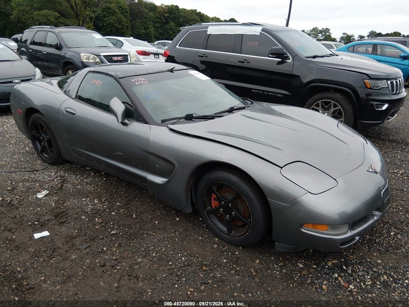 2004 CHEVROLET CORVETTE | 1G1YY22G945124741 | UPCARS