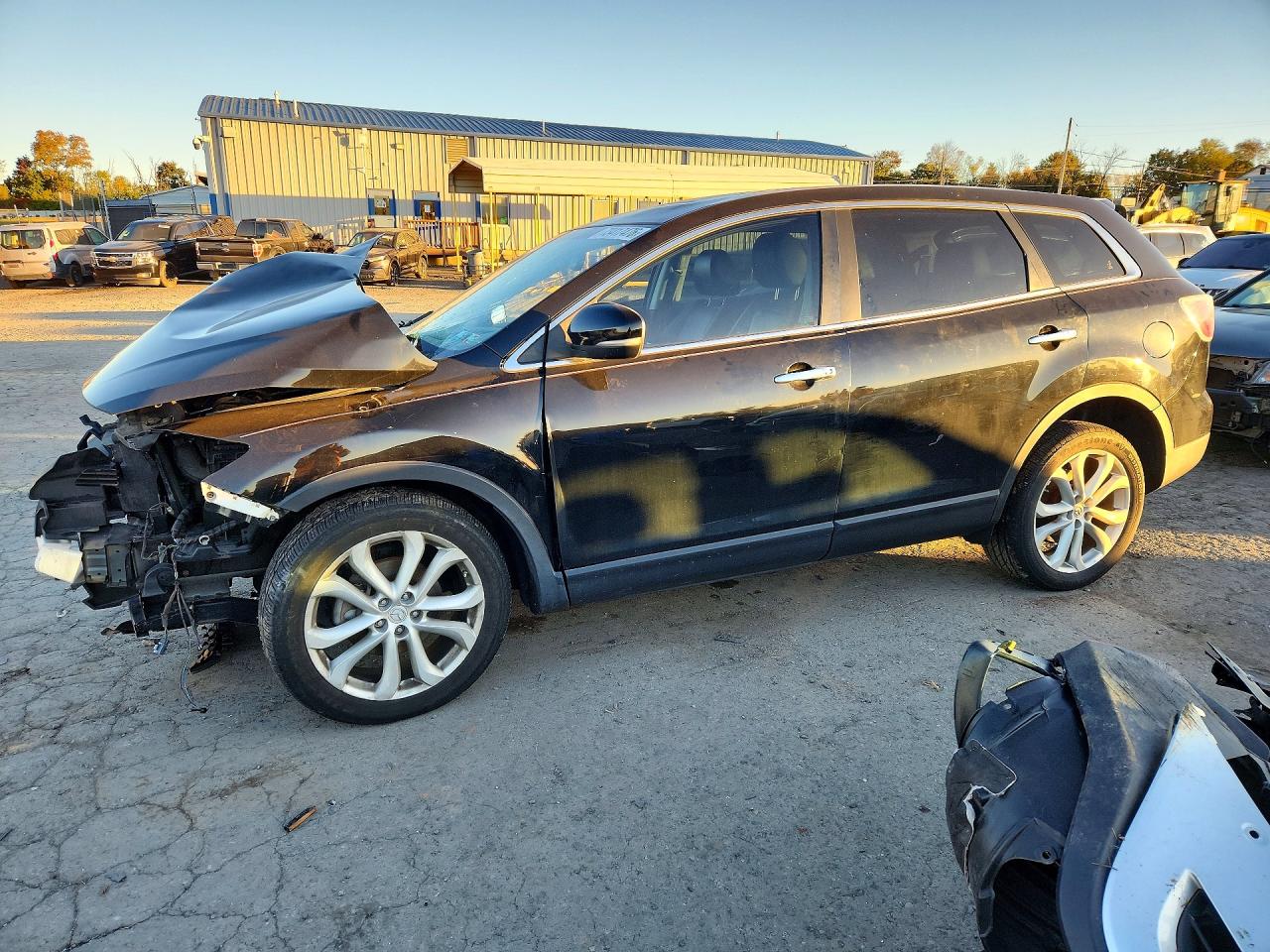 2011 MAZDA CX-9 | JM3TB3DV3B0306084 | UPCARS
