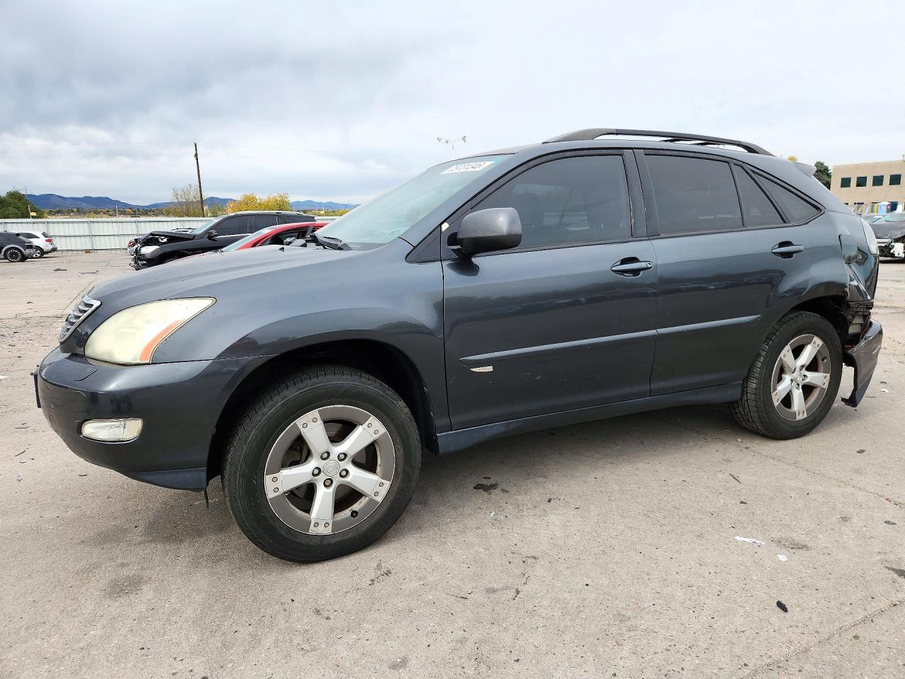 2005 LEXUS RX 330 | JTJHA31U950089123 | UPCARS