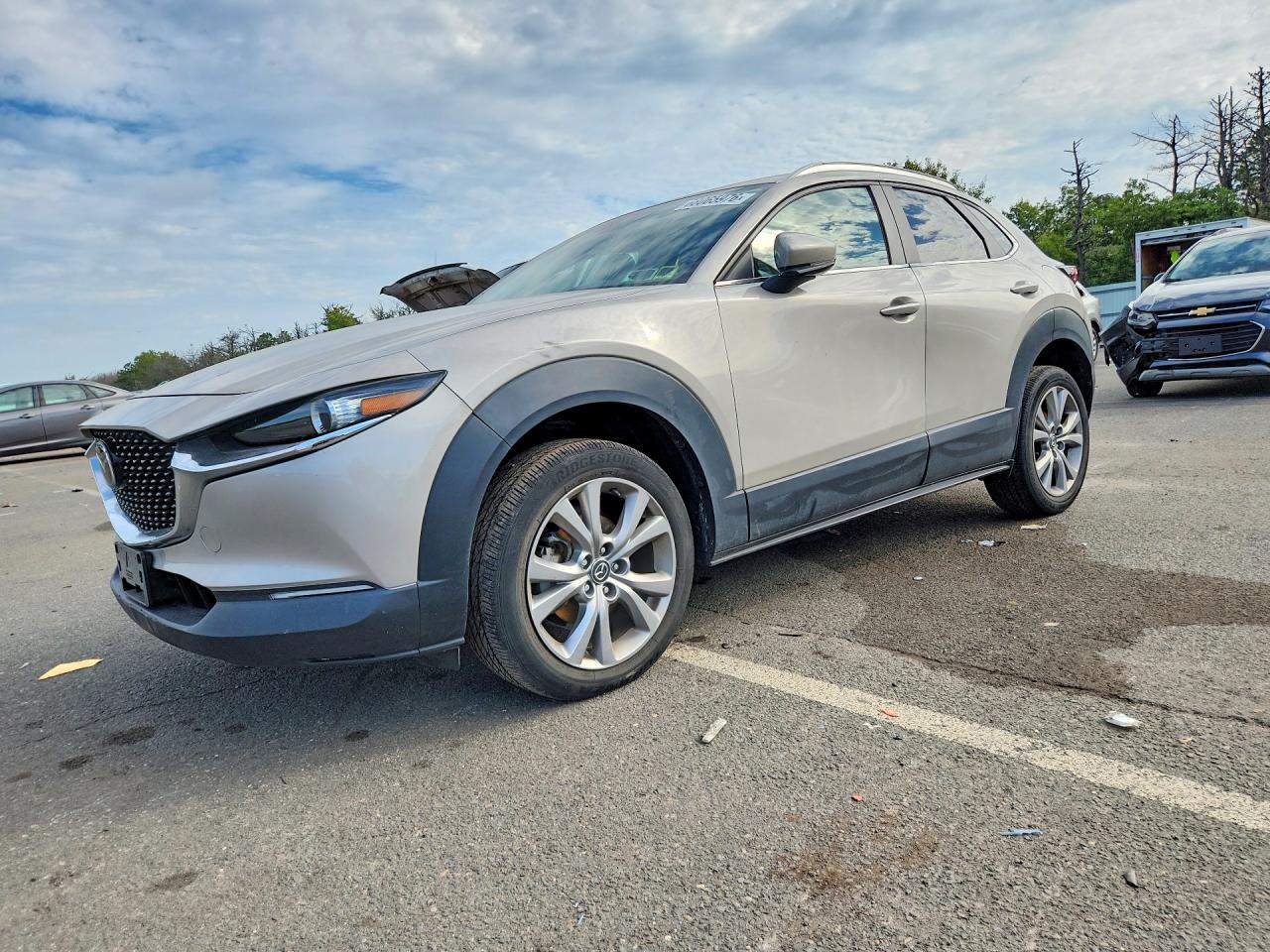 2023 MAZDA CX30 PREFERRED | 3MVDMBCM9PM539965 | UPCARS