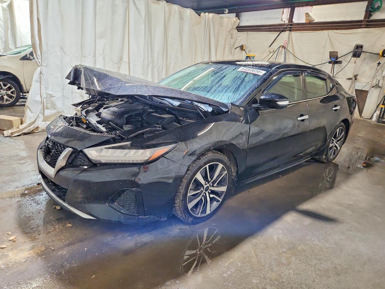 2019 NISSAN MAXIMA 3.5 SV | 1N4AA6AV6KC375784 | UPCARS