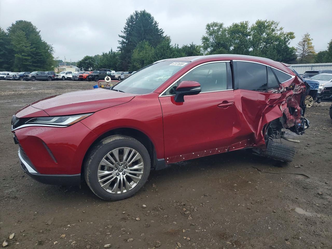 2023 TOYOTA VENZA LIMITED | JTEAAAAH4PJ143707 | UPCARS