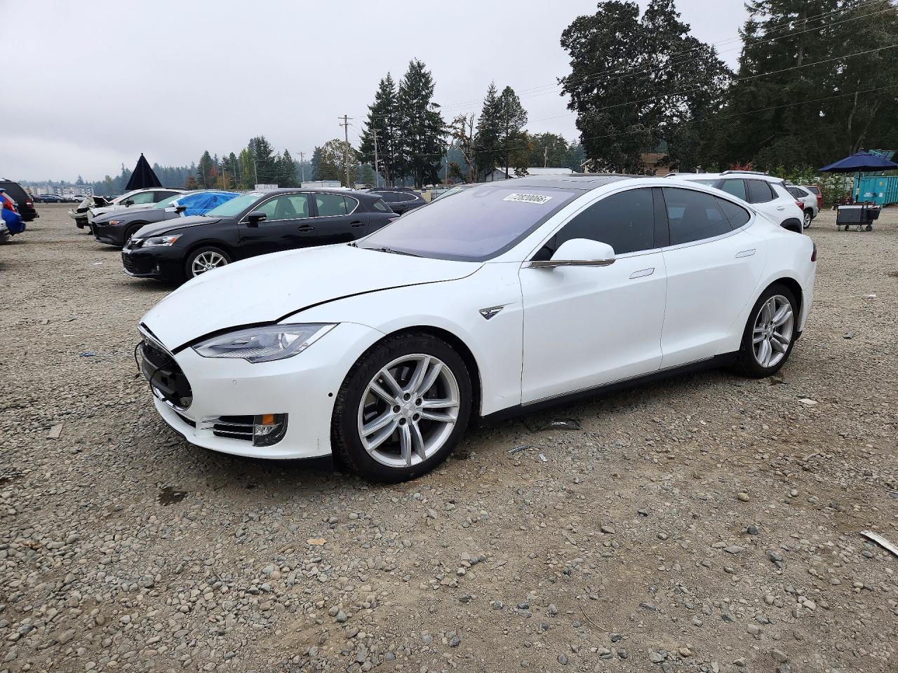 2015 TESLA MODEL S | 5YJSA1E2XFF118329 | UPCARS