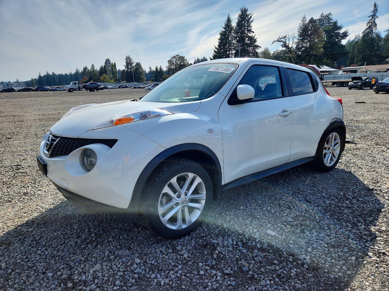 2013 NISSAN JUKE S | JN8AF5MV7DT230598 | UPCARS