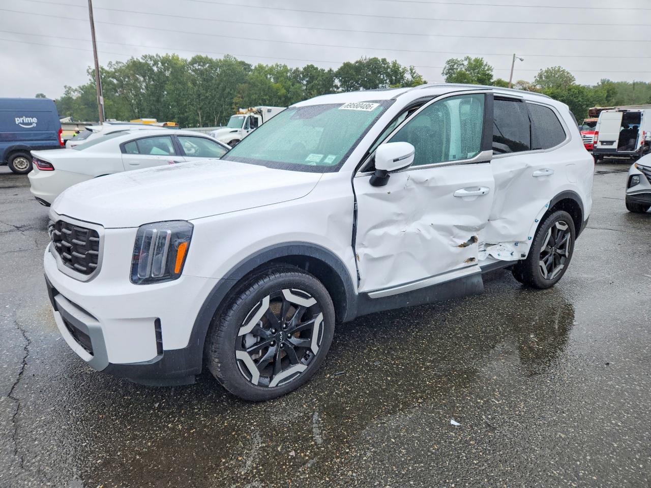 2025 KIA TELLURIDE S | 5XYP6DGC6SG688300 | UPCARS