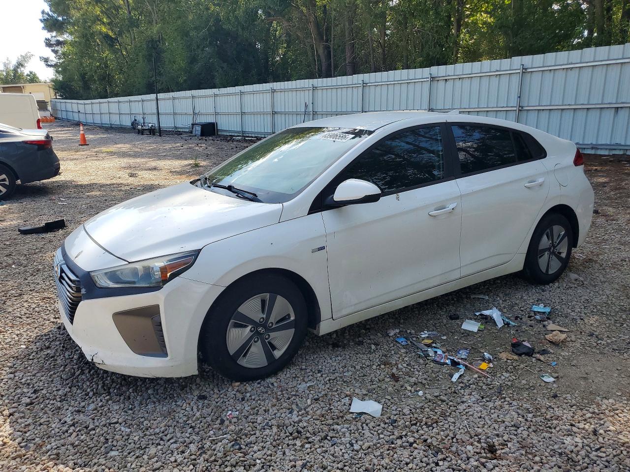 2019 HYUNDAI IONIQ BLUE | KMHC65LC5KU156346 | UPCARS
