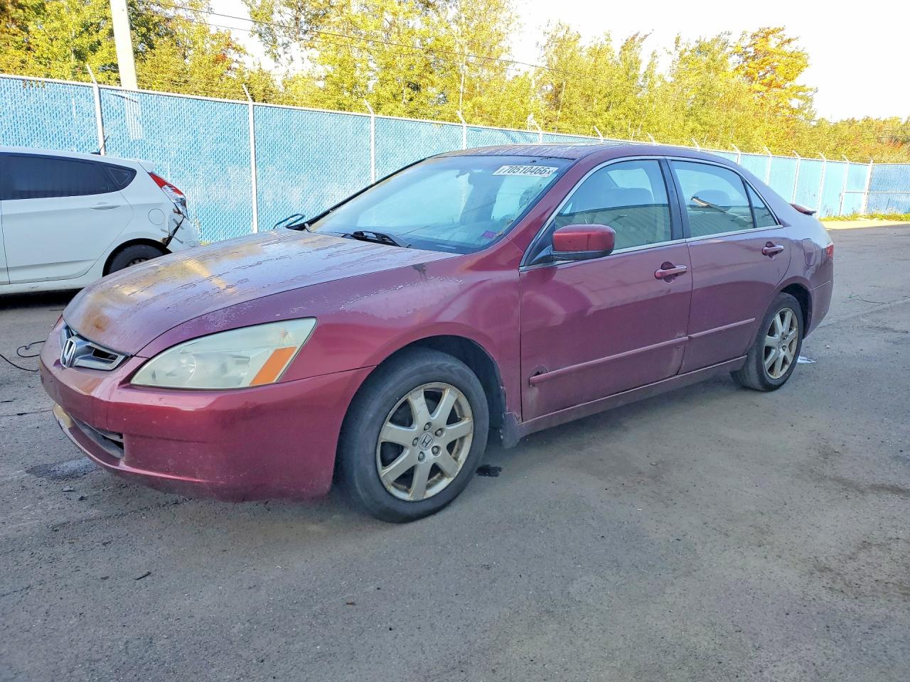 2005 HONDA ACCORD EX | 1HGCM66535A802441 | UPCARS