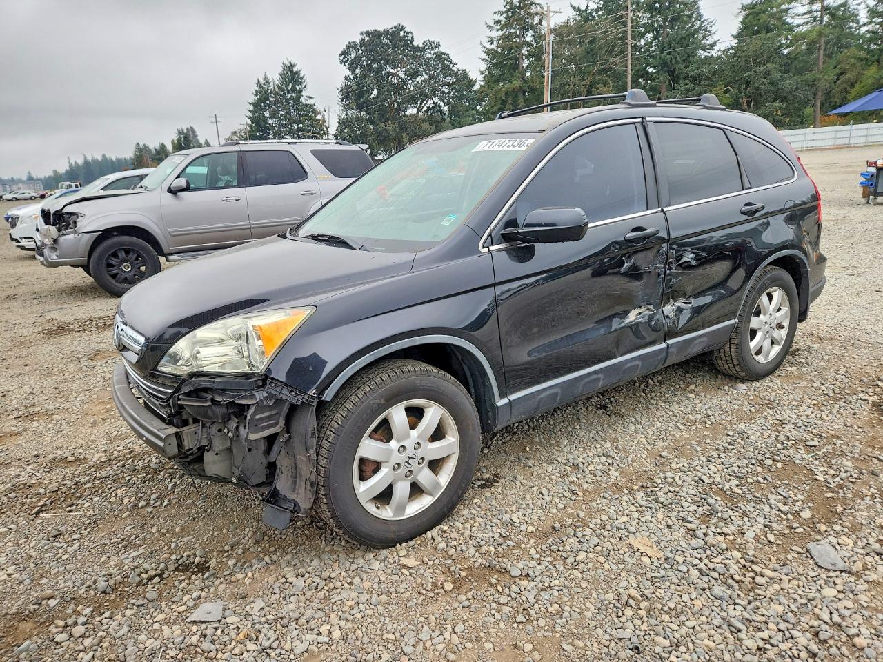 2007 HONDA CRV EXL | JHLRE38707C022216 | UPCARS