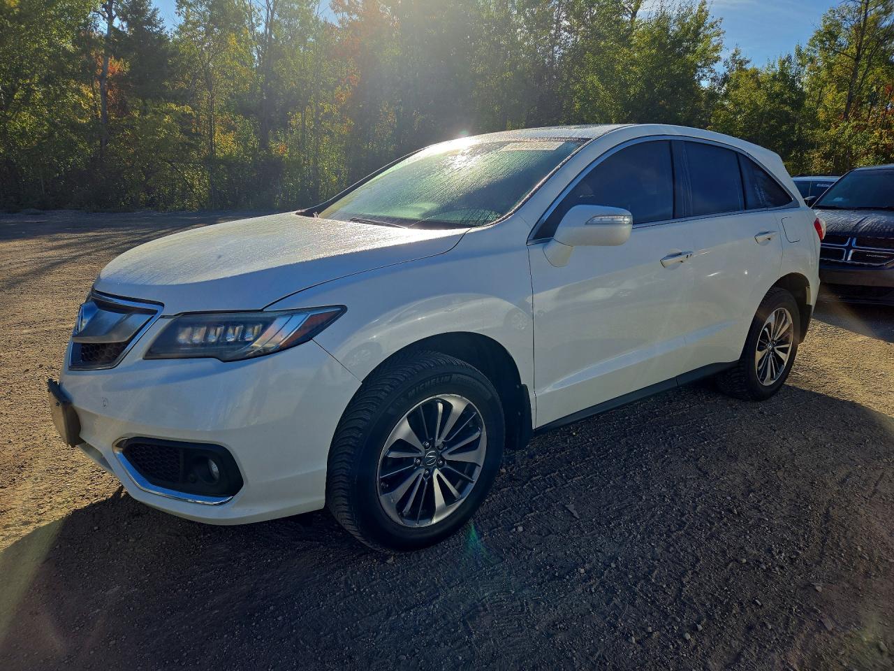 2017 ACURA RDX ADVANCE | 5J8TB4H79HL801084 | UPCARS
