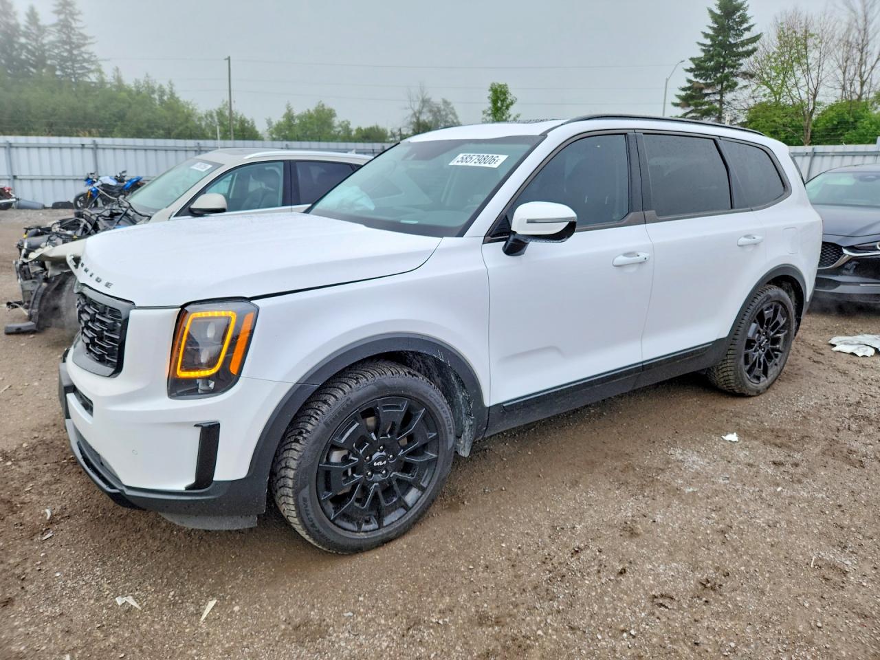 2022 KIA TELLURIDE SX | 5XYP5DHC1NG206905 | UPCARS