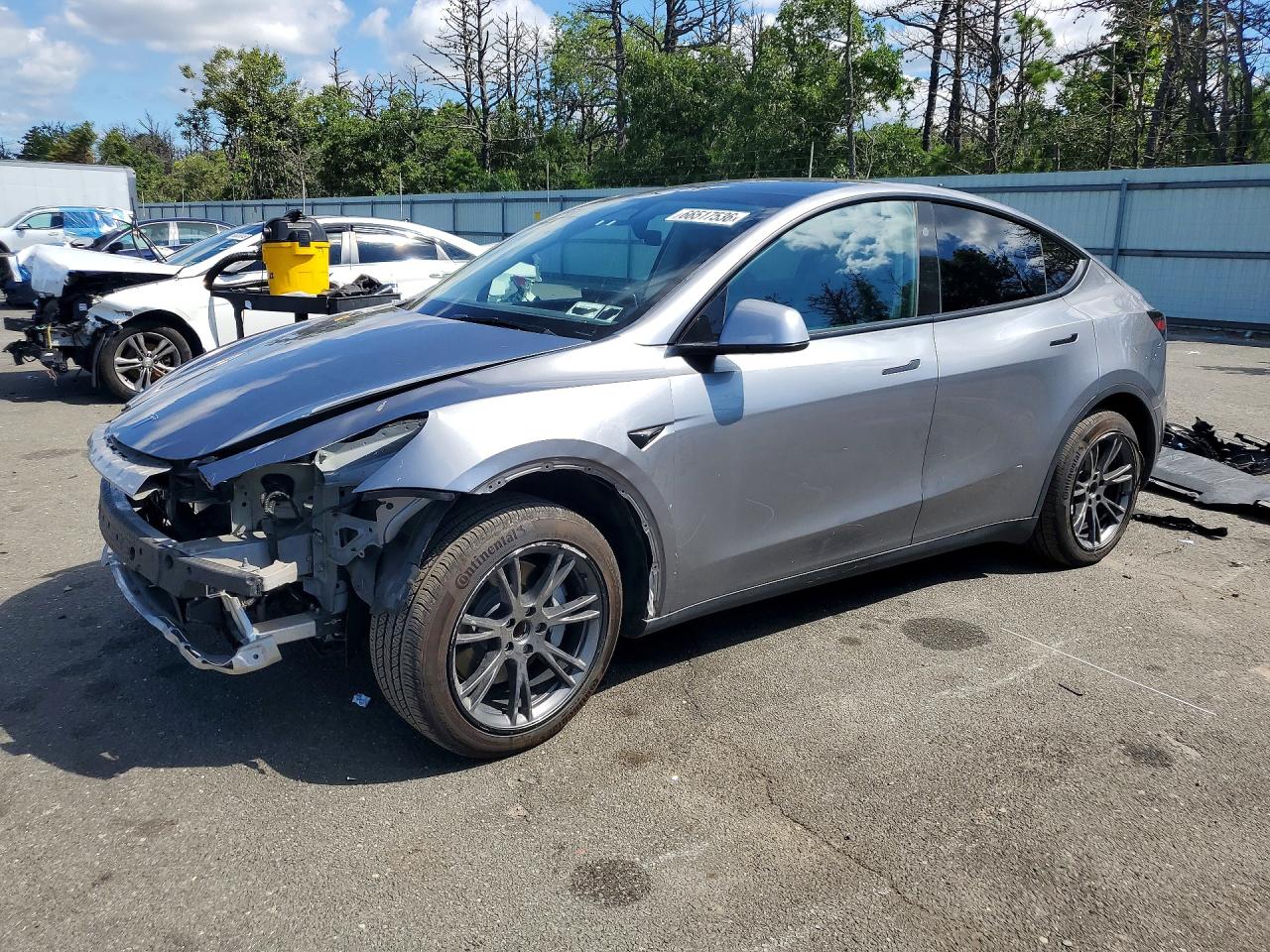2025 TESLA MODEL Y | 7SAYGDEDXSF266120 | UPCARS