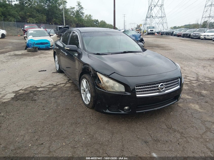 2010 NISSAN MAXIMA 3.5 SV | 1N4AA5AP6AC820857 | UPCARS