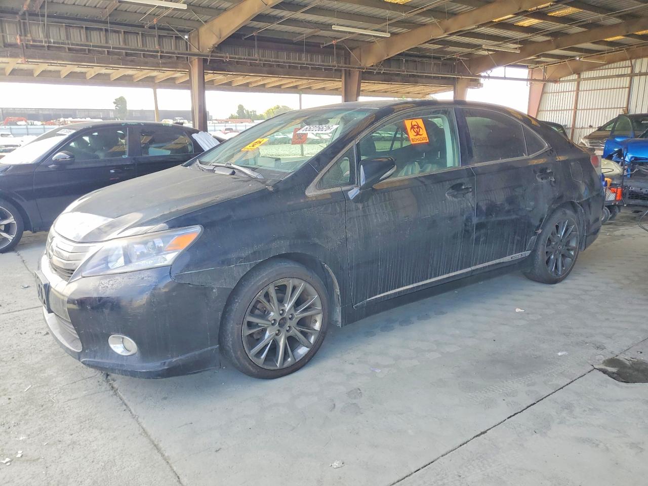2010 LEXUS HS 250H | JTHBB1BA8A2024811 | UPCARS