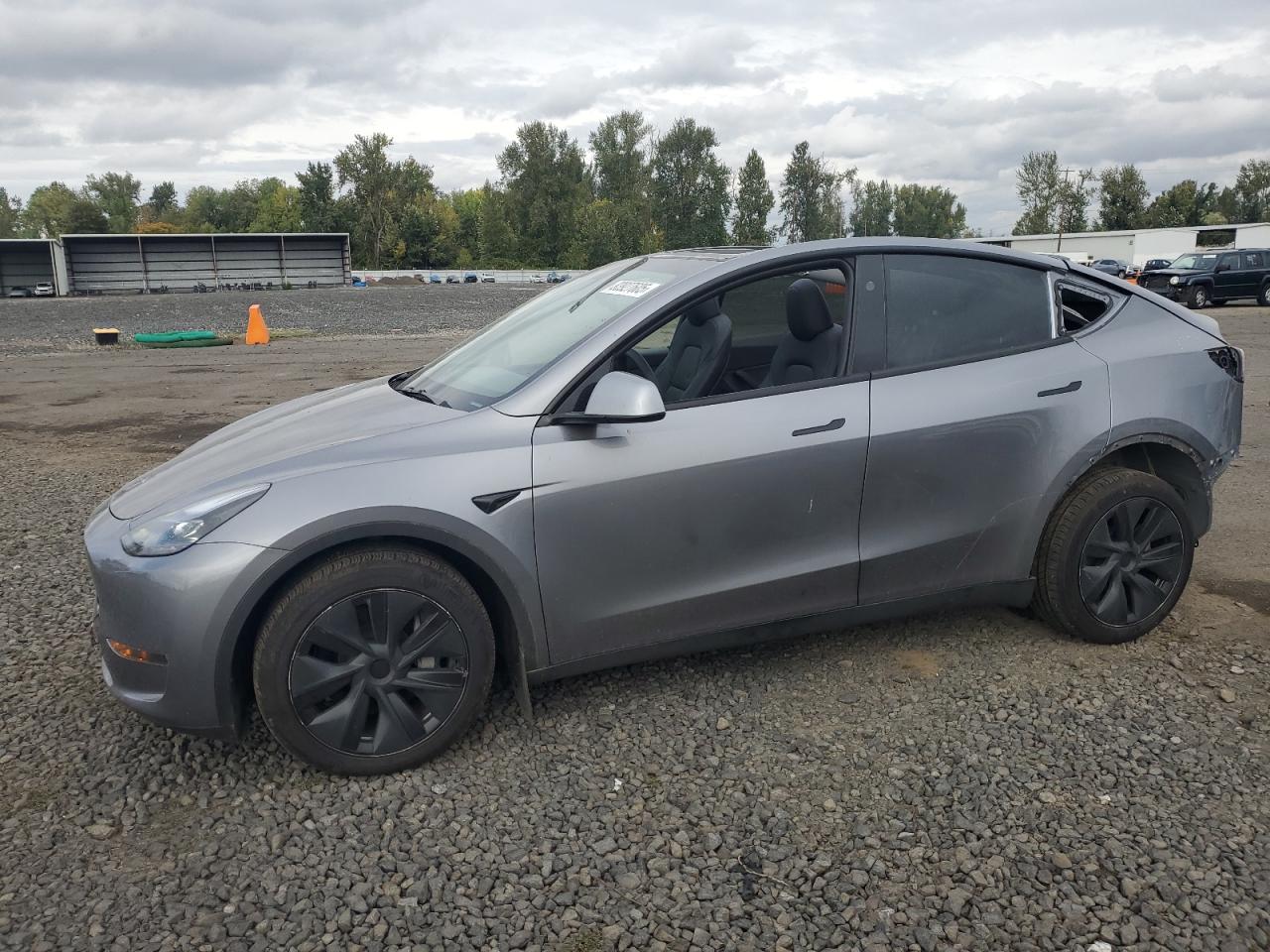 2024 TESLA MODEL Y | 7SAYGDEE5RF164453 | UPCARS