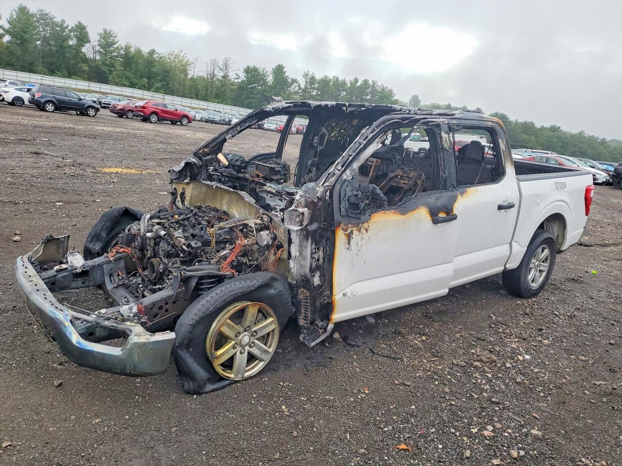 2021 FORD F150 SUPERCREW | N0V1N67538846 | UPCARS