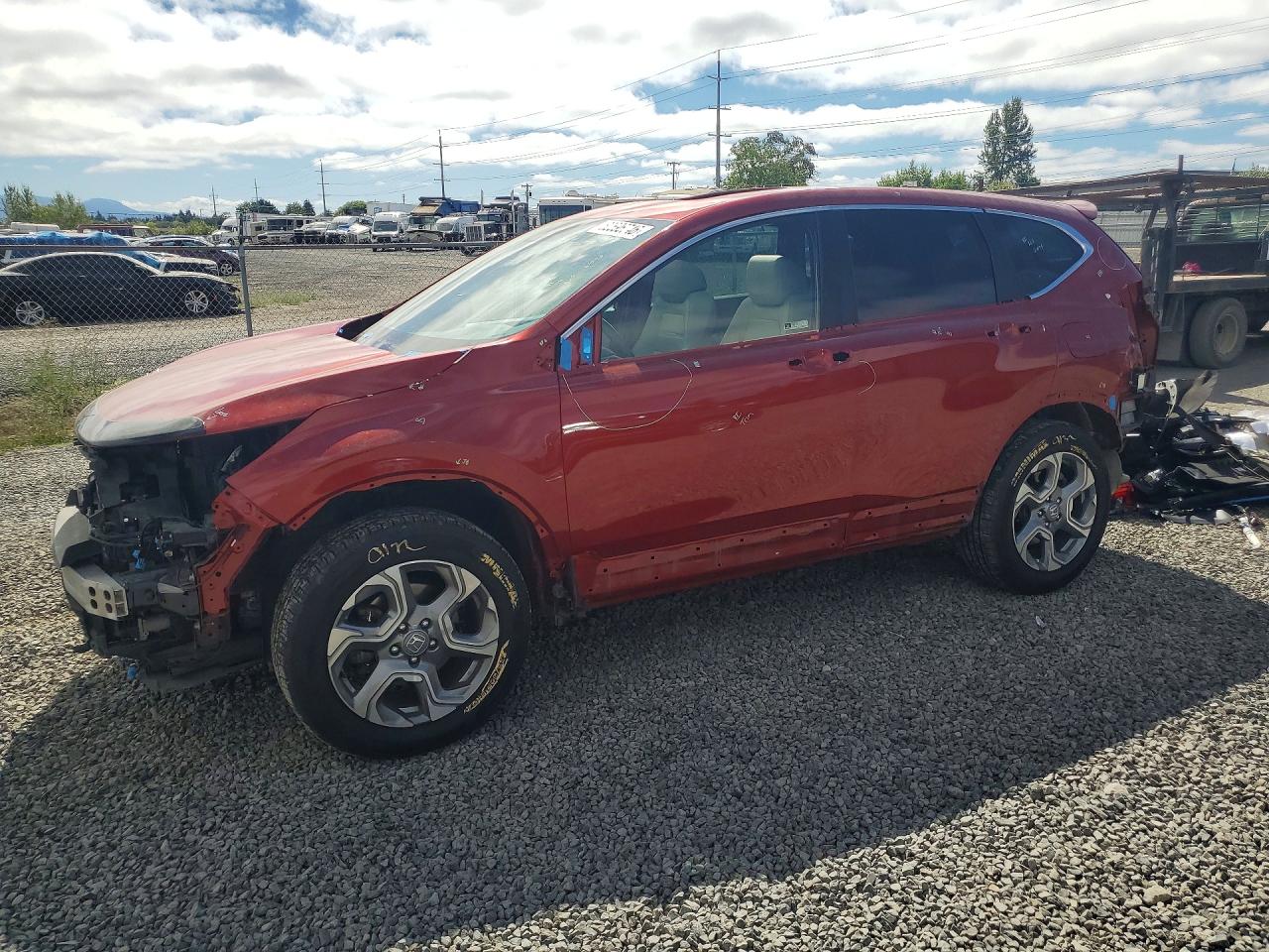 2019 HONDA CRV EXL | 2HKRW2H82KH611472 | UPCARS