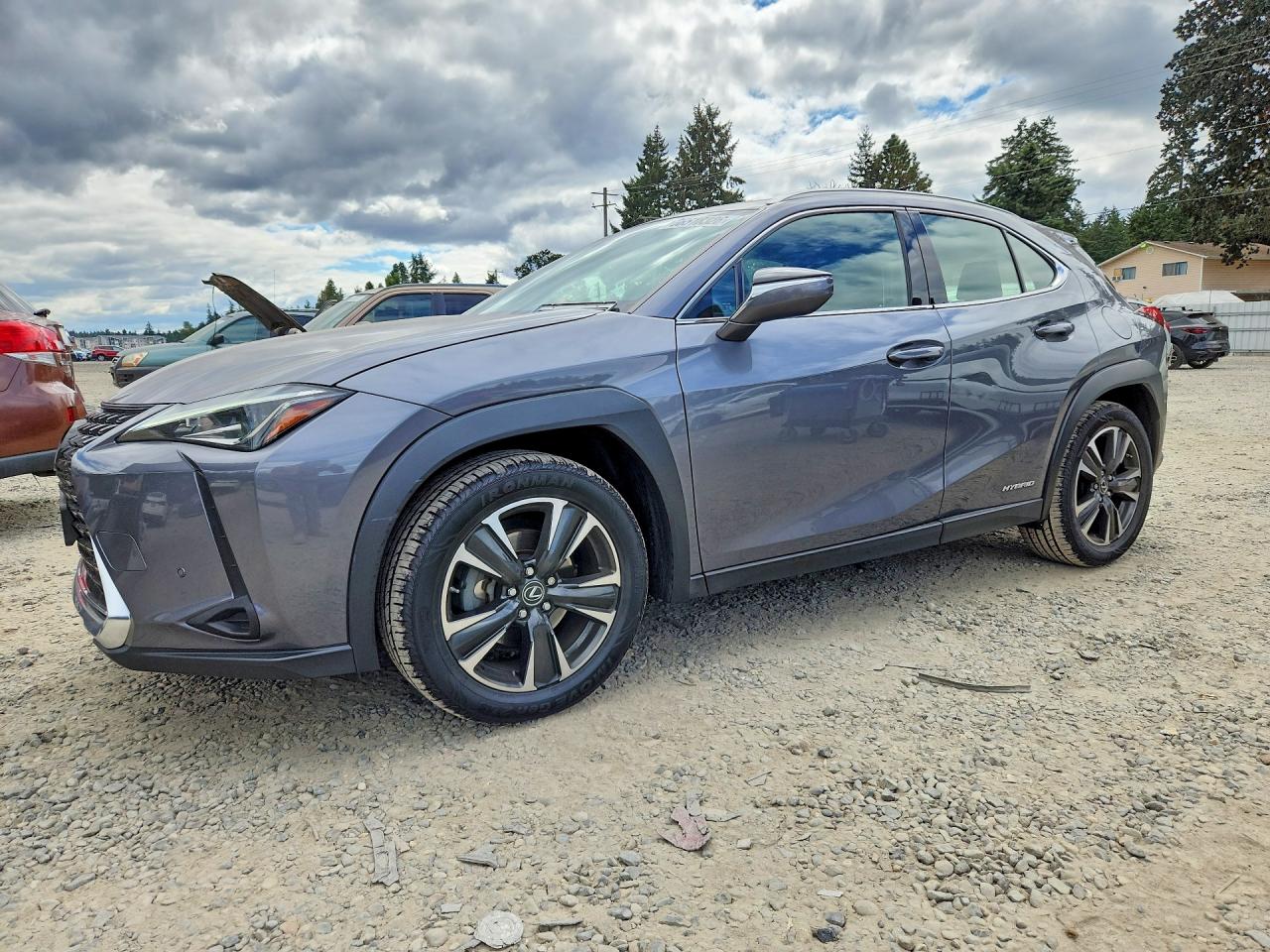 2020 LEXUS ALL OTHER 250H | JTHP9JBH8L2030593 | UPCARS