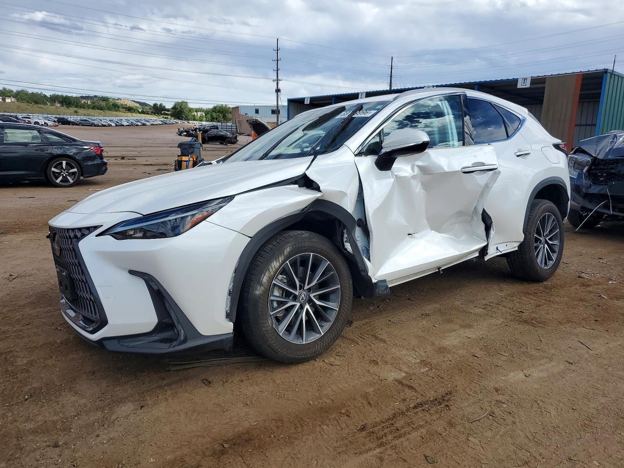 2022 LEXUS NX 250 | 2T2ADCEZXNC001893 | UPCARS