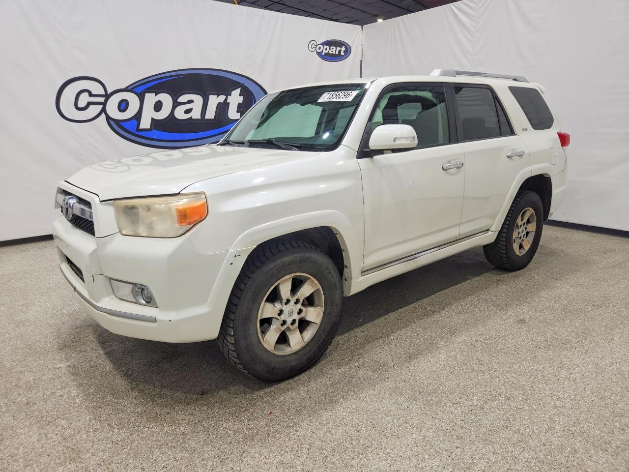 2010 TOYOTA 4RUNNER SR5 | JTEBU5JR6A5003041 | UPCARS