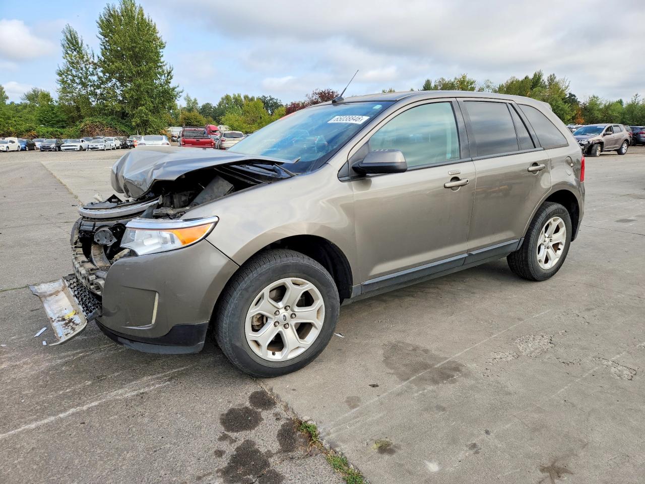 2013 FORD EDGE SEL | 2FMDK4JC7DBC75134 | UPCARS