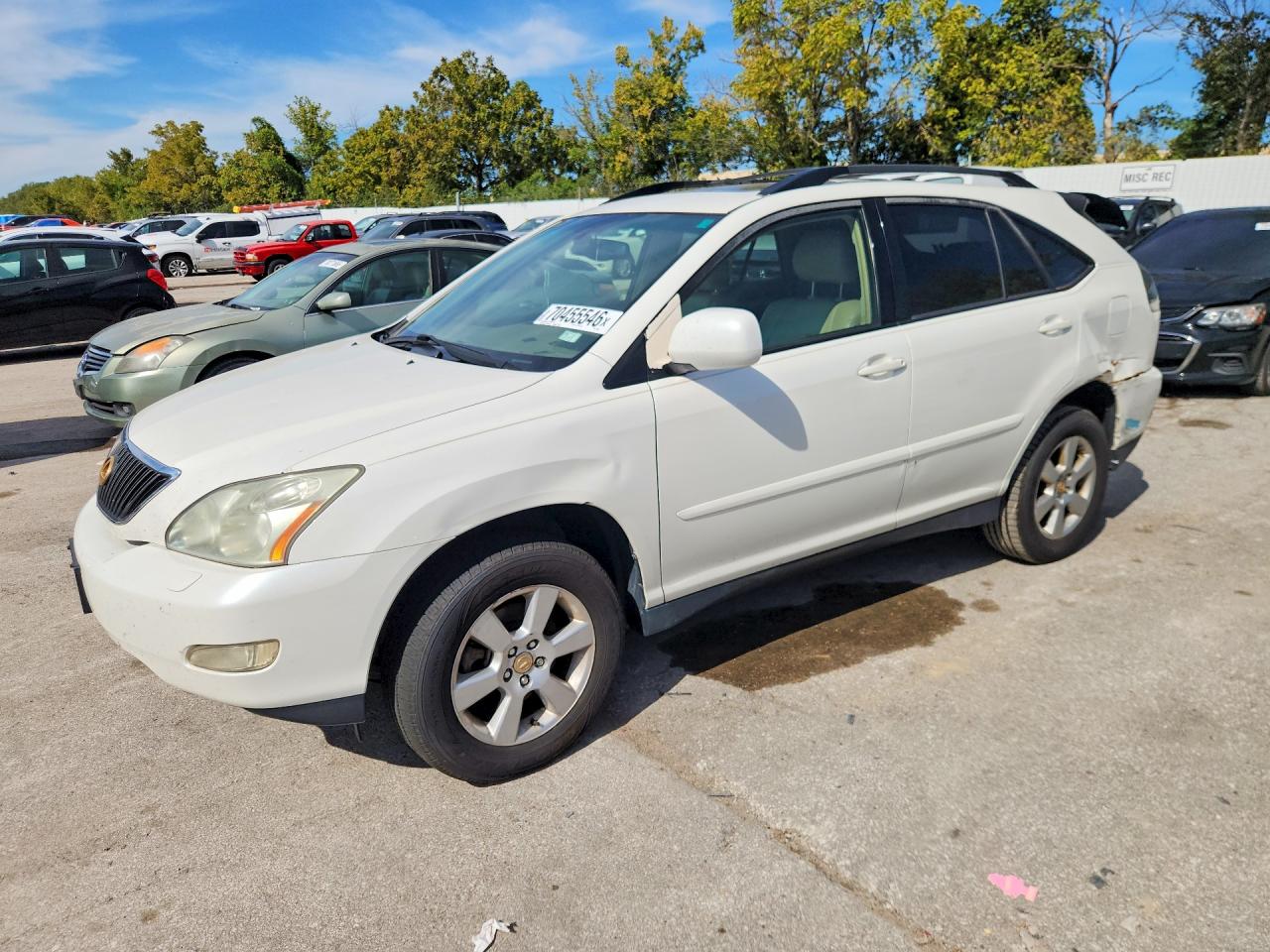 2004 LEXUS RX 330 | JTJHA31U540065979 | UPCARS