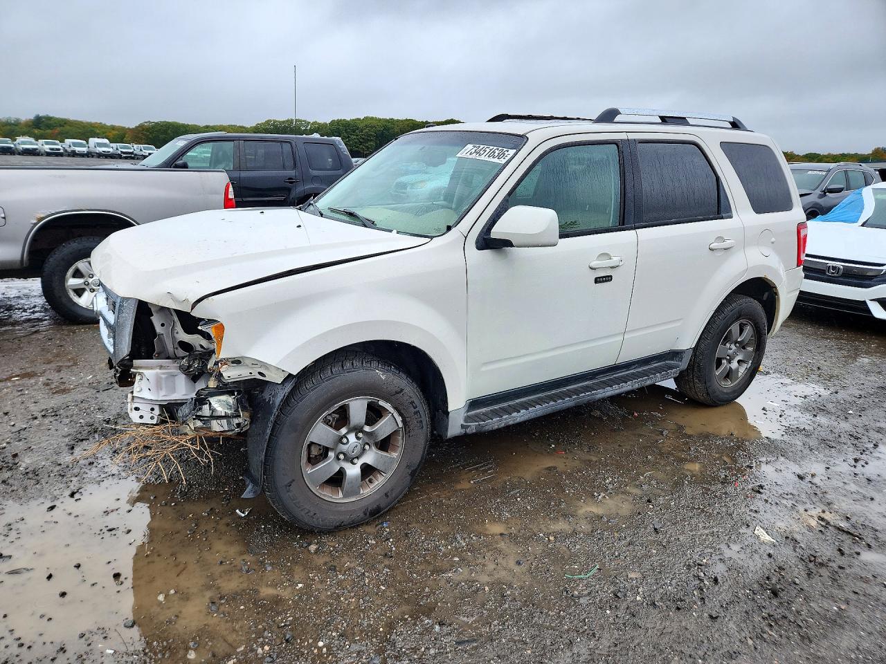 2011 FORD ESCAPE LIMITED | 1FMCU9EGXBKB08687 | UPCARS