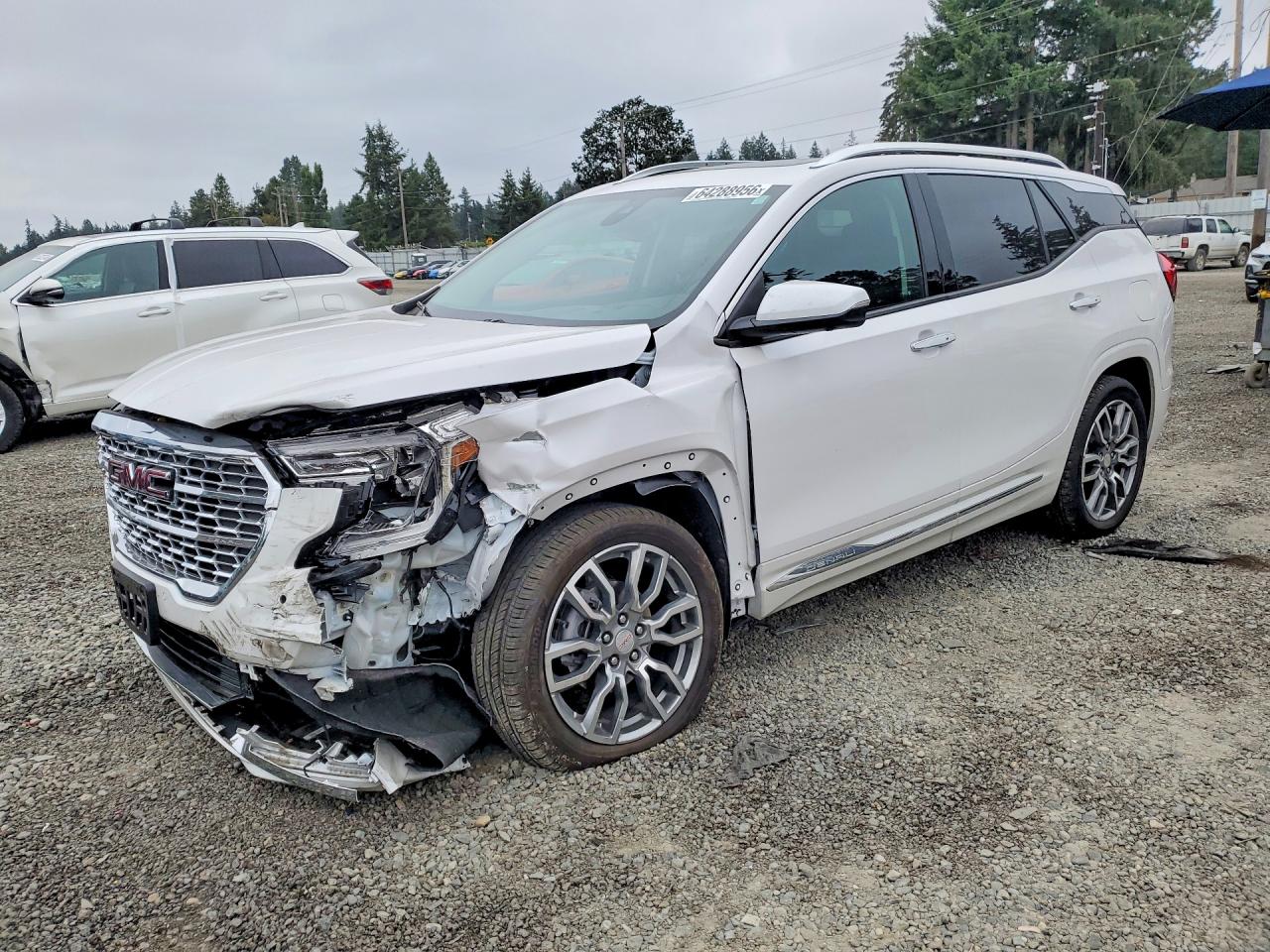 2024 GMC TERRAIN DENALI | 3GKALXEG9RL391423 | UPCARS