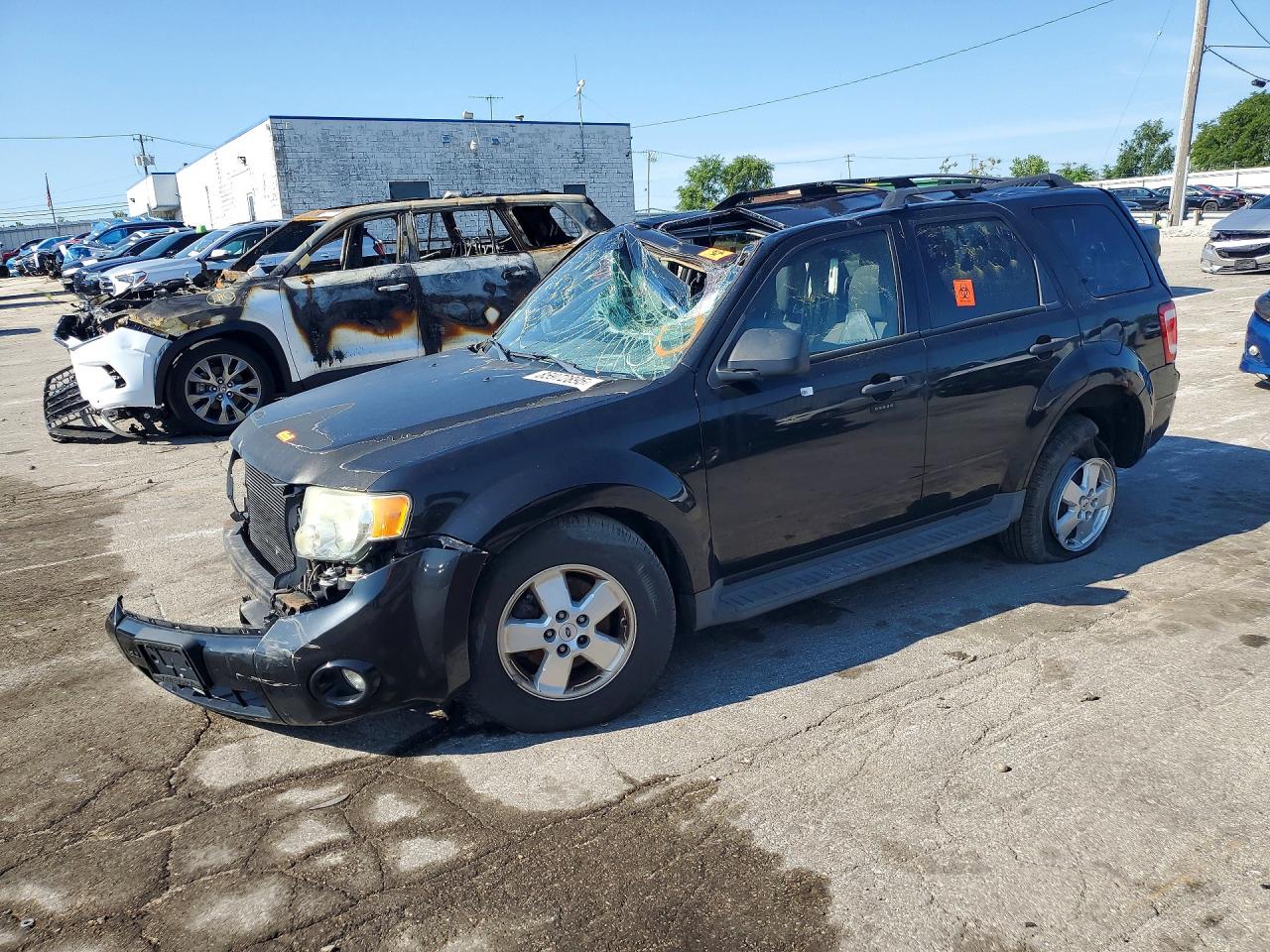 2011 FORD ESCAPE XLT | 1FMCU0D73BKA12915 | UPCARS
