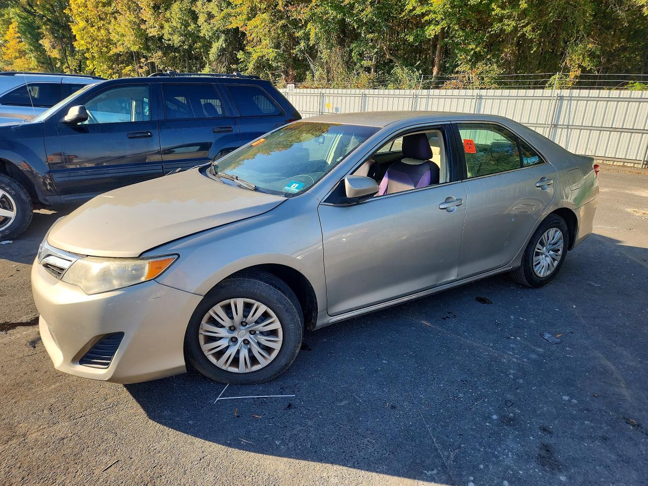 2013 TOYOTA CAMRY LE | 4T4BF1FK5DR303782 | UPCARS