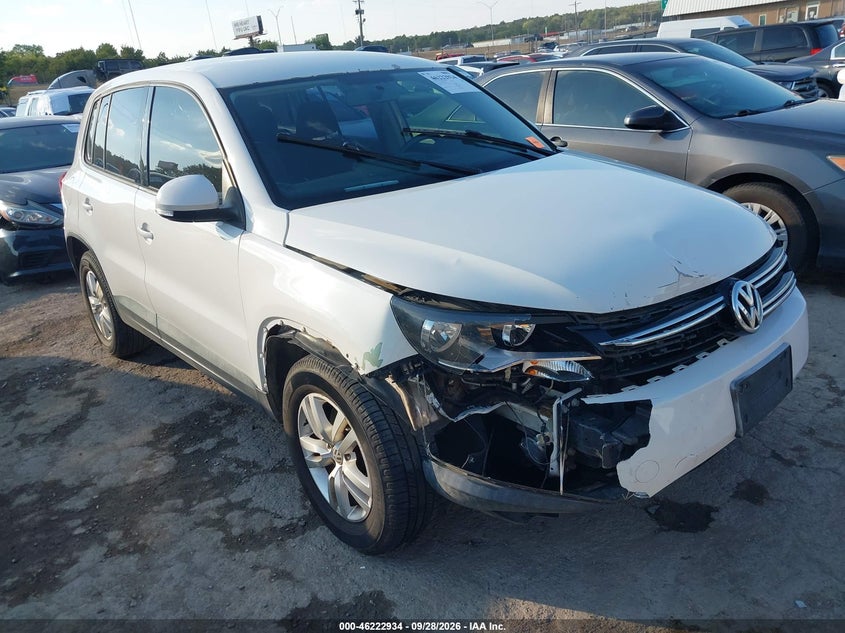 2013 VOLKSWAGEN TIGUAN S | WVGAV3AX0DW597619 | UPCARS