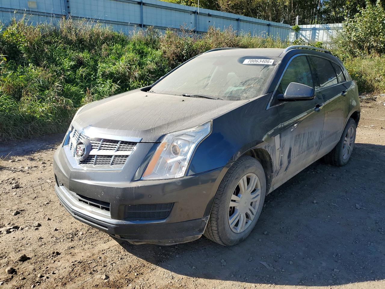 2010 CADILLAC SRX LUXURY COLLECTION | 3GYFNDEY2AS565534 | UPCARS