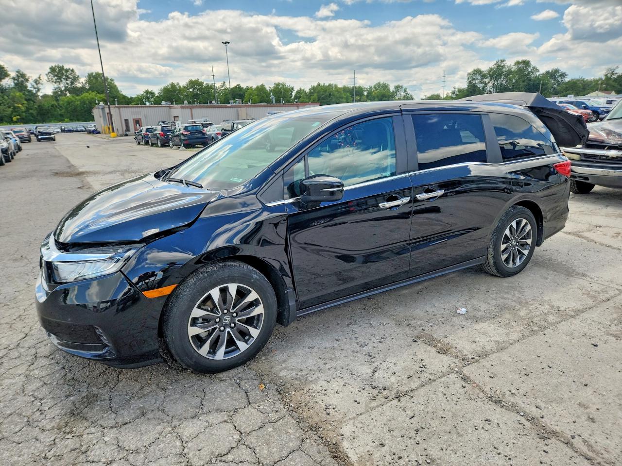 2024 HONDA ODYSSEY EXL | 5FNRL6H60RB062832 | UPCARS