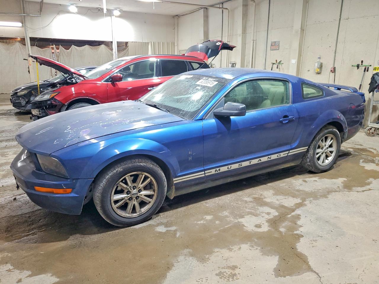 2006 FORD MUSTANG | 1ZVFT80N765113478 | UPCARS