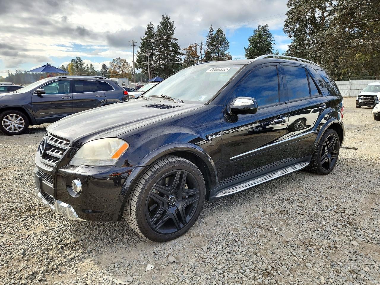 2009 MERCEDES-BENZ M-CLASS 63 AMG | 4JGBB77E29A481028 | UPCARS