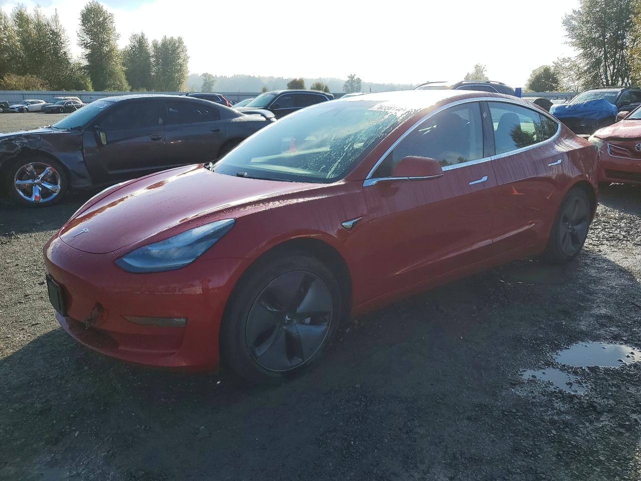 2019 TESLA MODEL 3 | 5YJ3E1EA8KF308382 | UPCARS