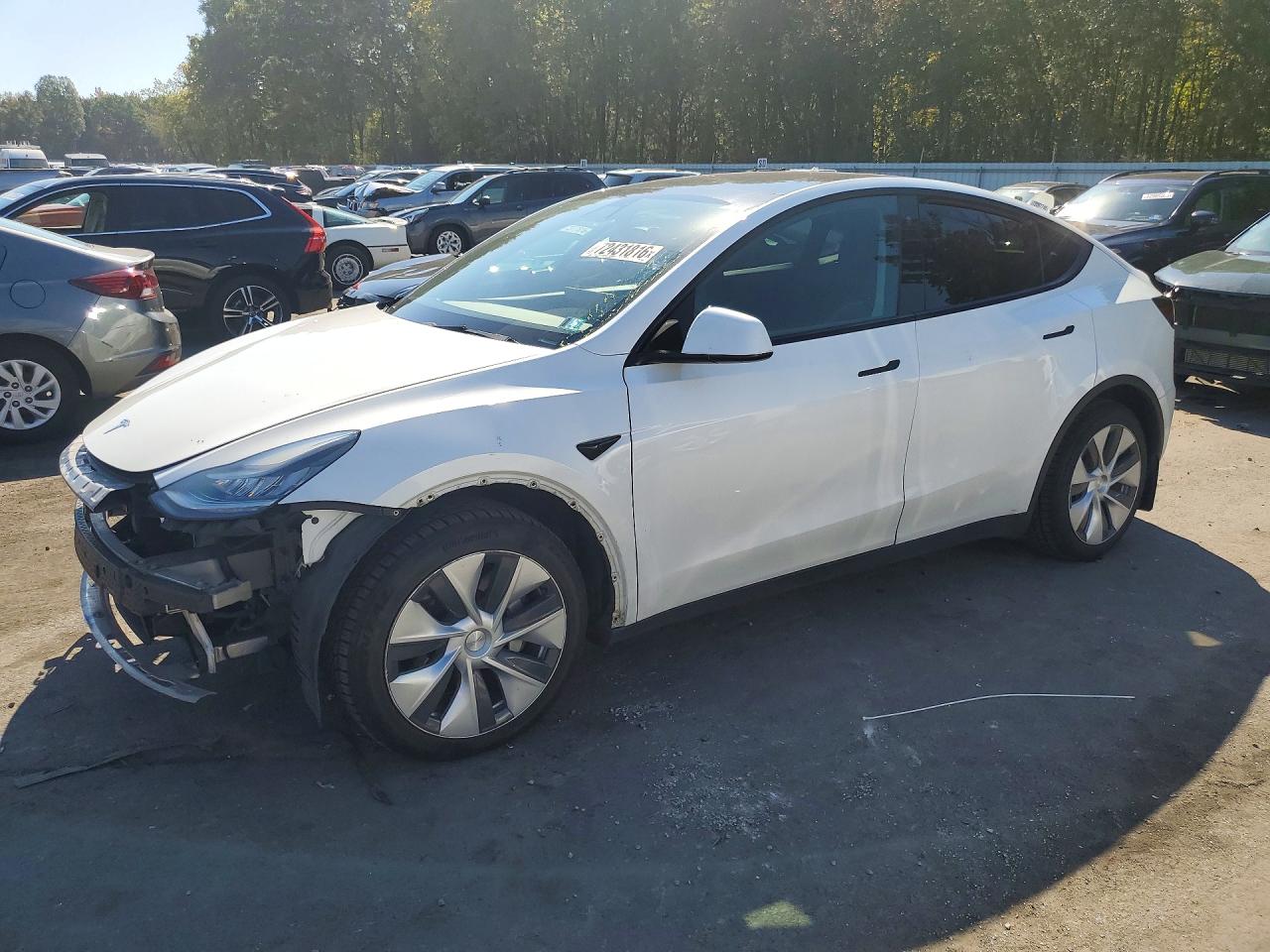2021 TESLA MODEL Y | 5YJYGDEEXMF140560 | UPCARS