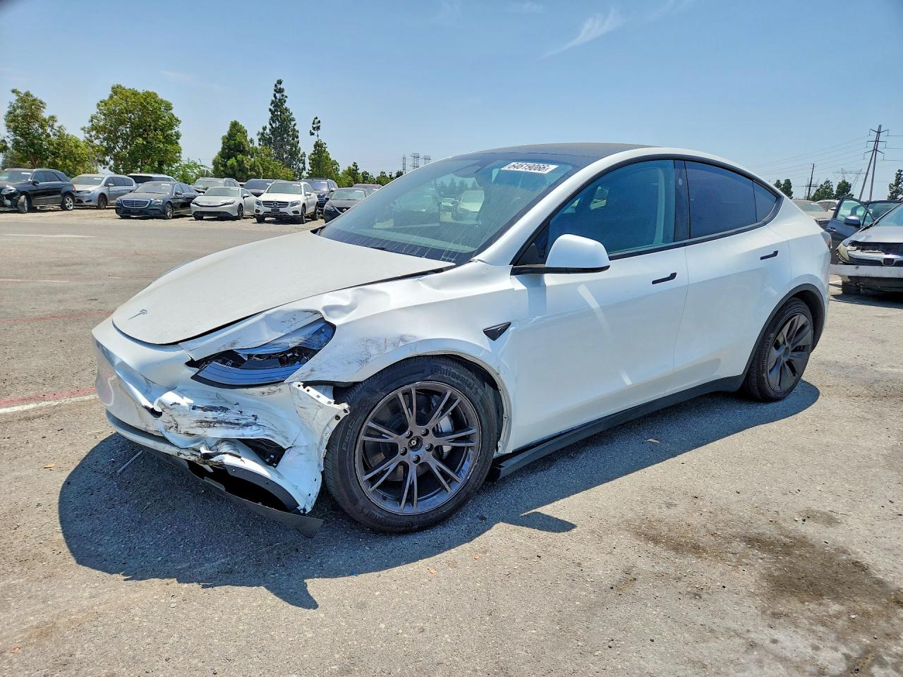 2025 TESLA MODEL Y | 7SAYGDEE0SF245513 | UPCARS