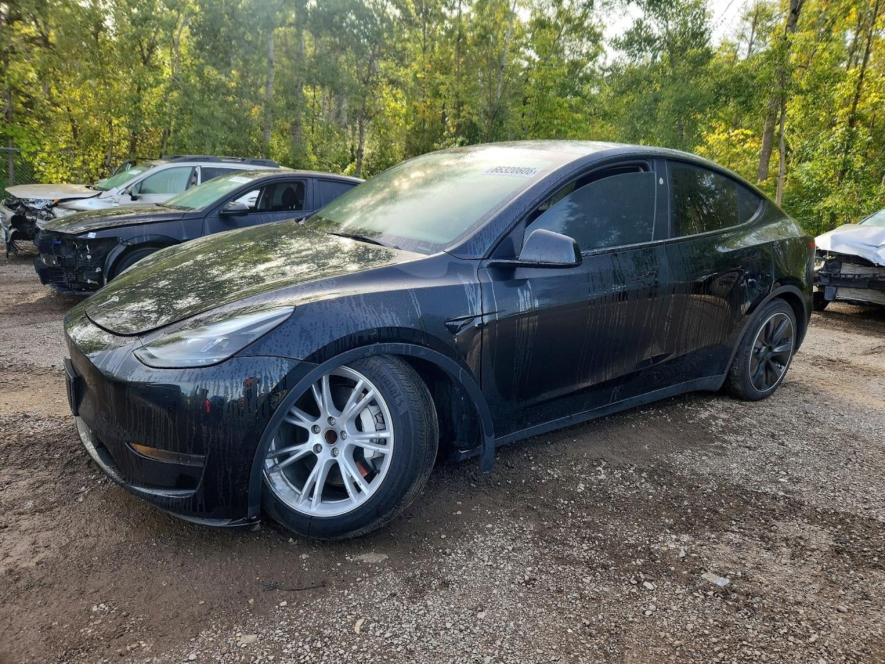 2024 TESLA MODEL Y | 7SAYGDED4RF993649 | UPCARS