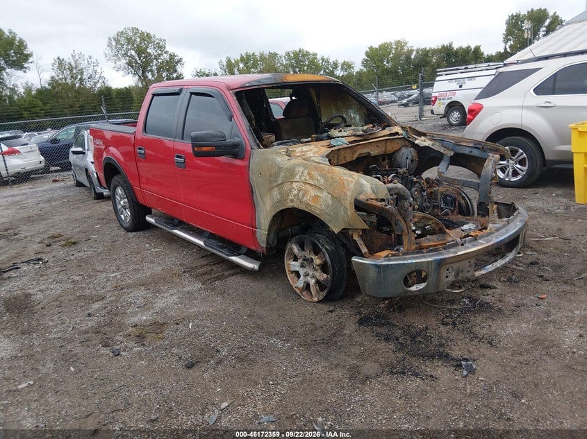 2010 FORD F-150 XLT | 1FTFW1EV8AFC65783 | UPCARS